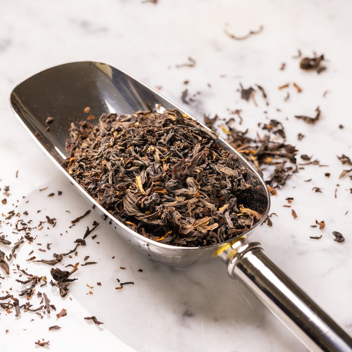 English Breakfast Black Tea Caffe Luxxe