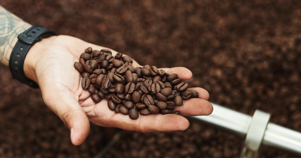 Hand holding Caffe Luxxe coffee beans