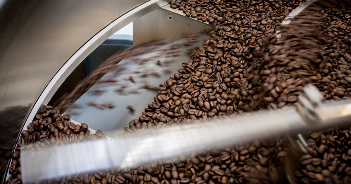 roasted whole bean coffee dumping out of a cooling tray