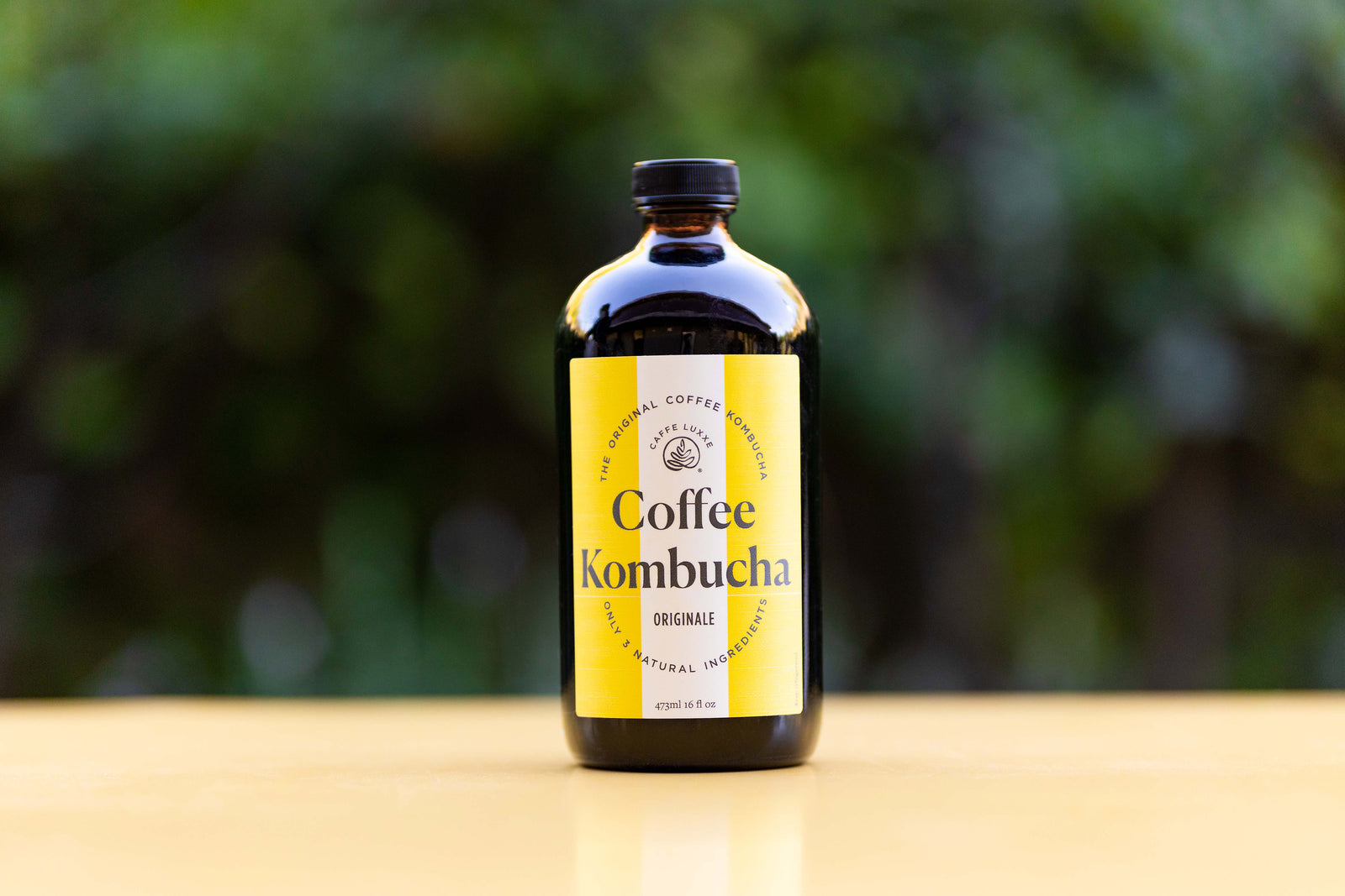 The Original Coffee Kombucha