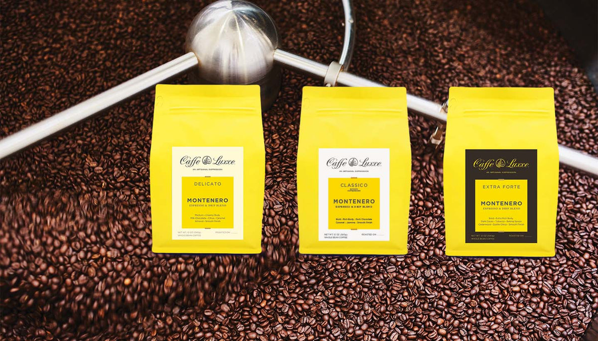 Daily Bundle Special: Montenero Collezione Coffee Drip Espresso Caffe Luxxe